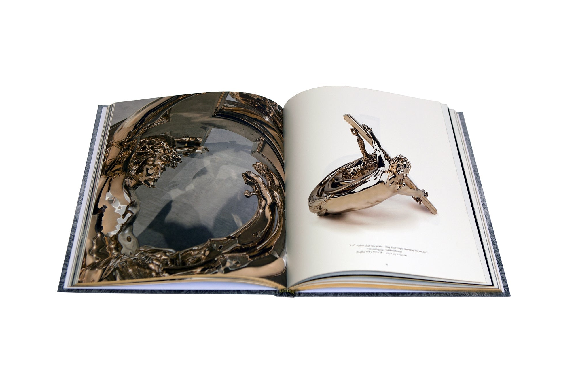 <br>Wim Delvoye - Teheran Museum of Contemporary Art