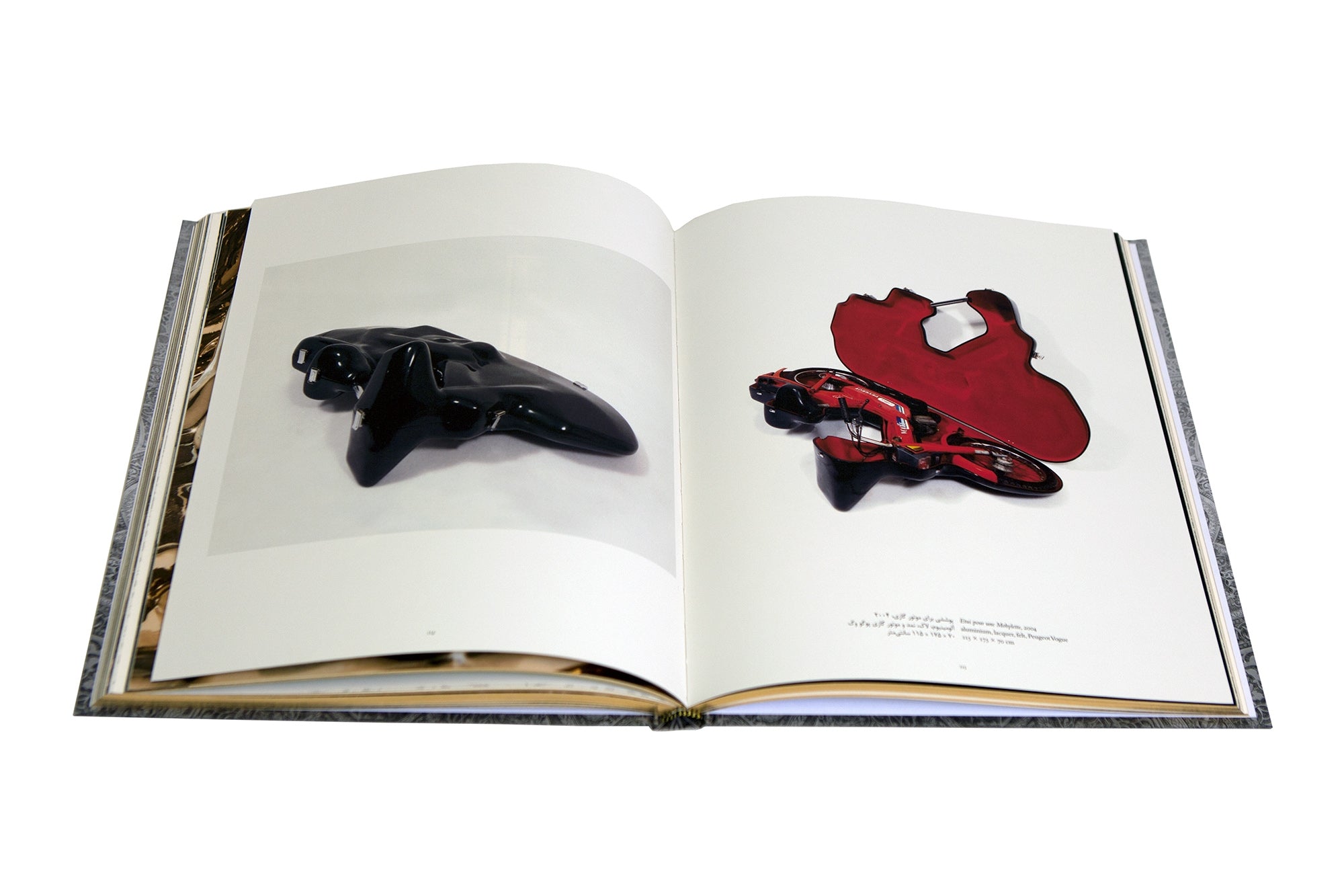 <br>Wim Delvoye - Teheran Museum of Contemporary Art