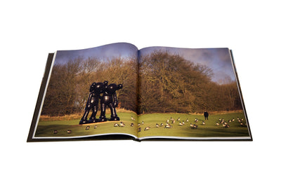 Kaws - Yorkshire Sculpture Park