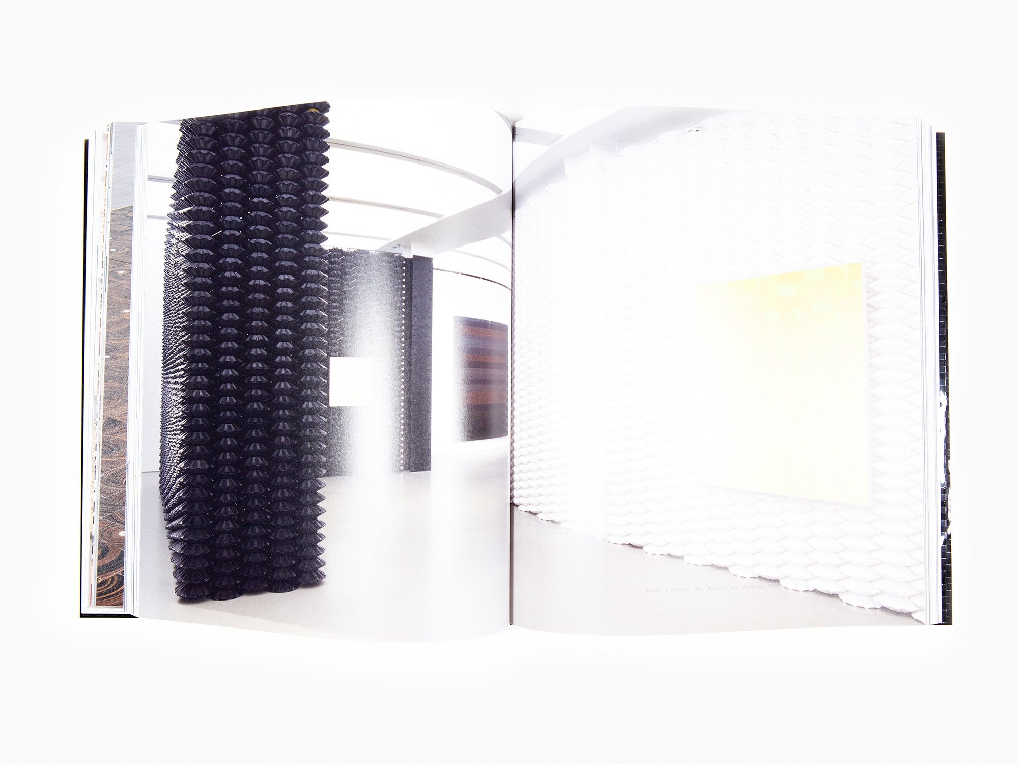 Gregor Hildebrandt - Tonend hallt die Jugend (Edition spéciale)