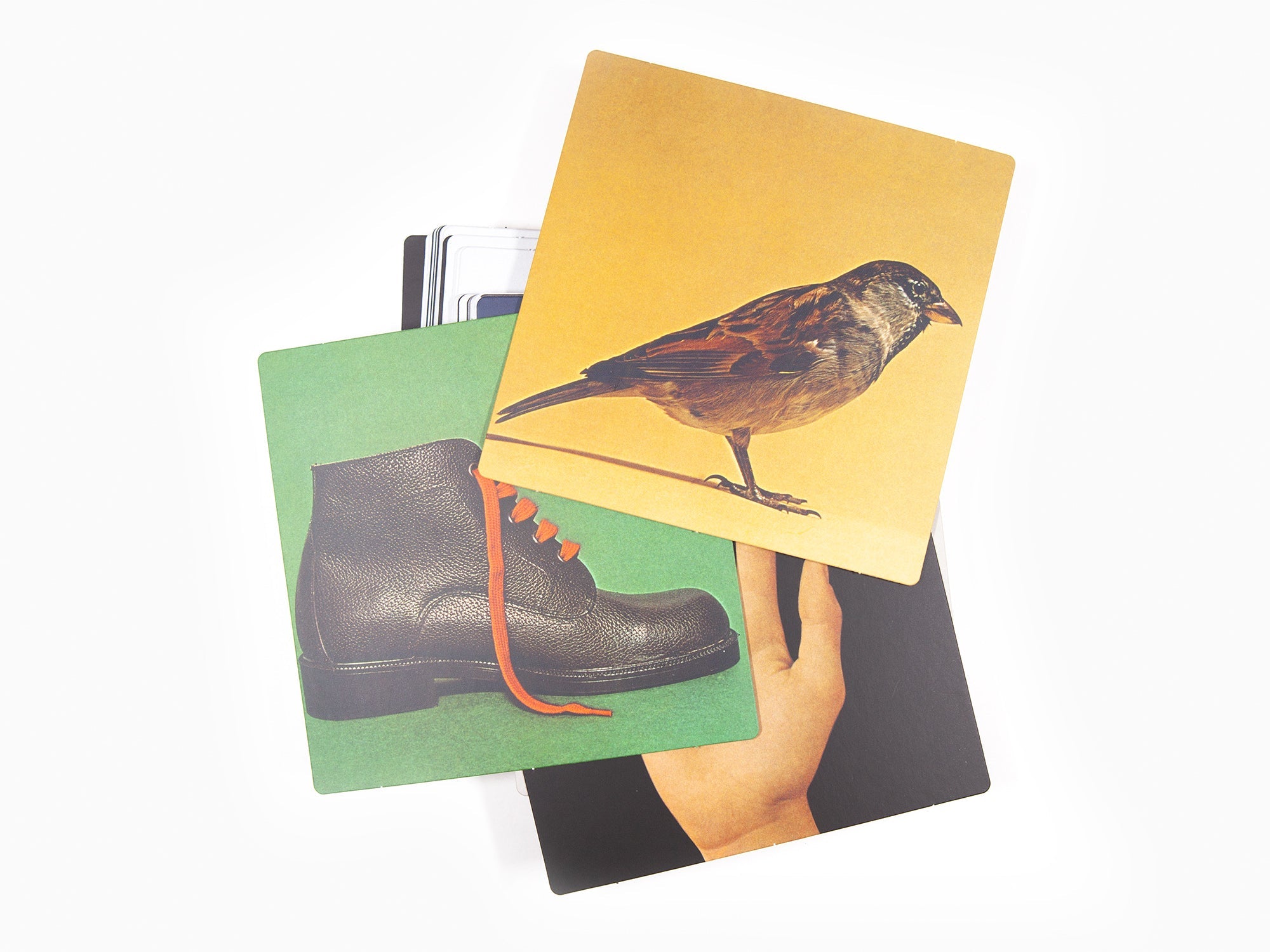 Bruno Munari et Giovanni Belgrano -  Immagini della realta / Images of reality