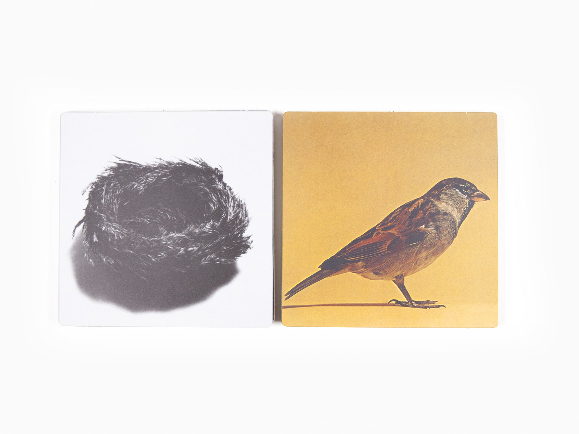 Bruno Munari et Giovanni Belgrano -  Immagini della realta / Images of reality