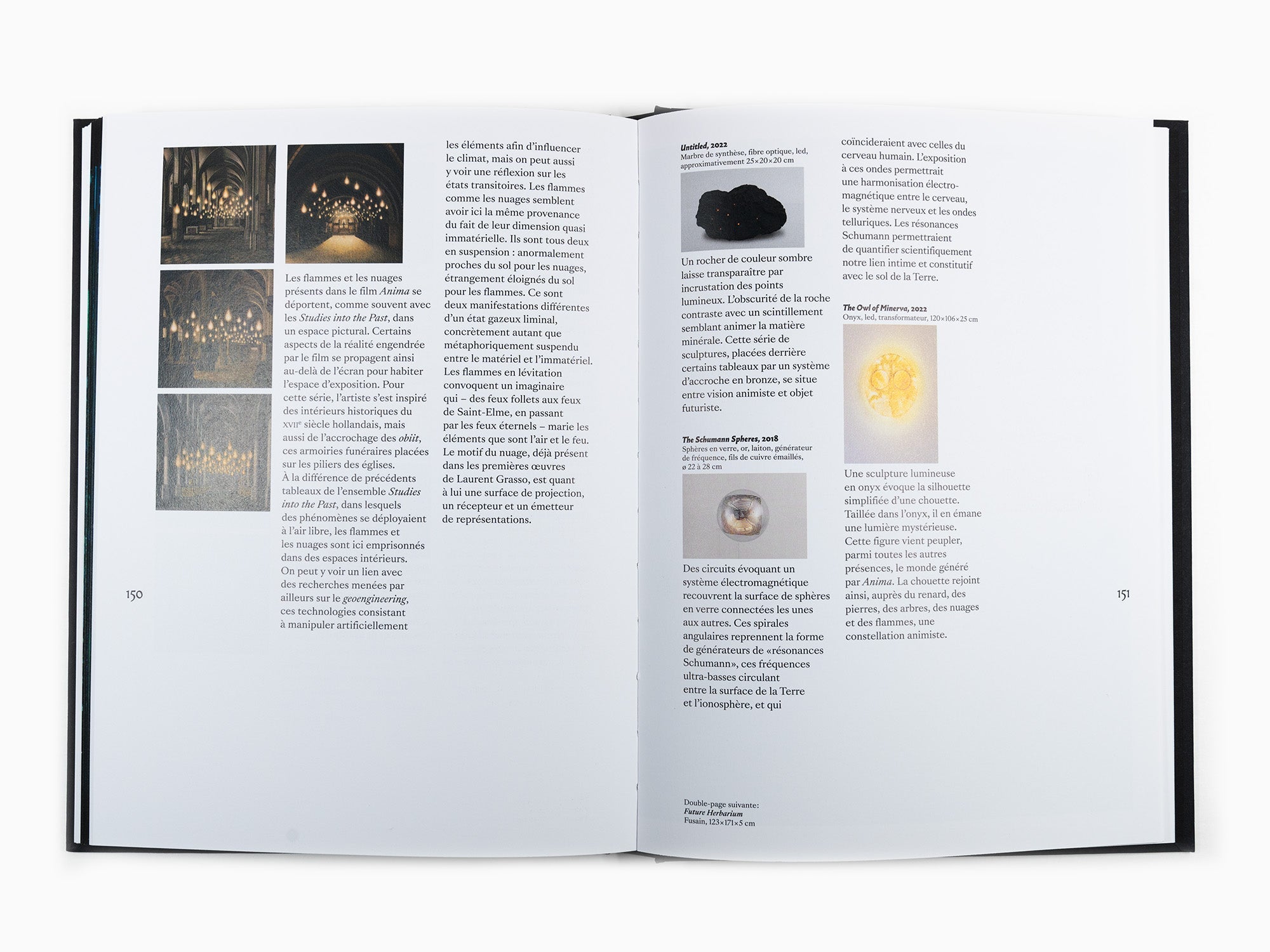 Laurent Grasso - Anima