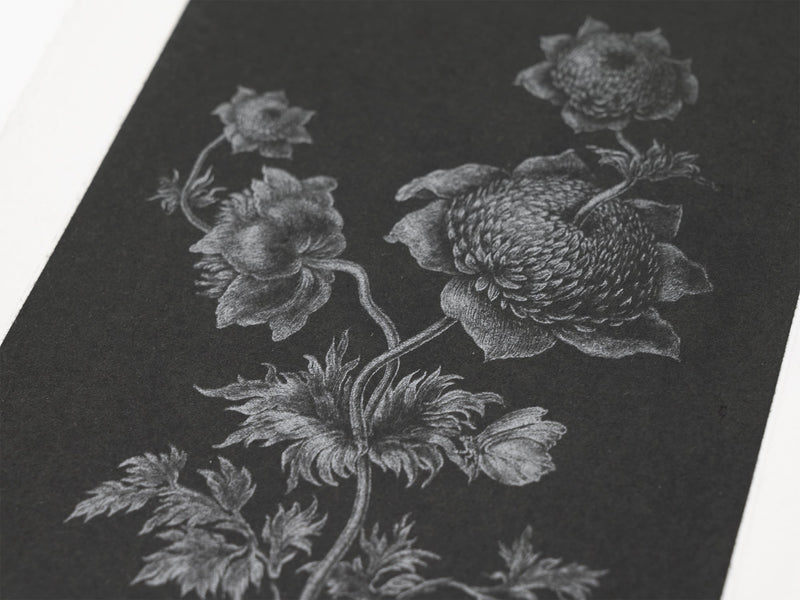 Laurent Grasso - Future Herbarium (noir)