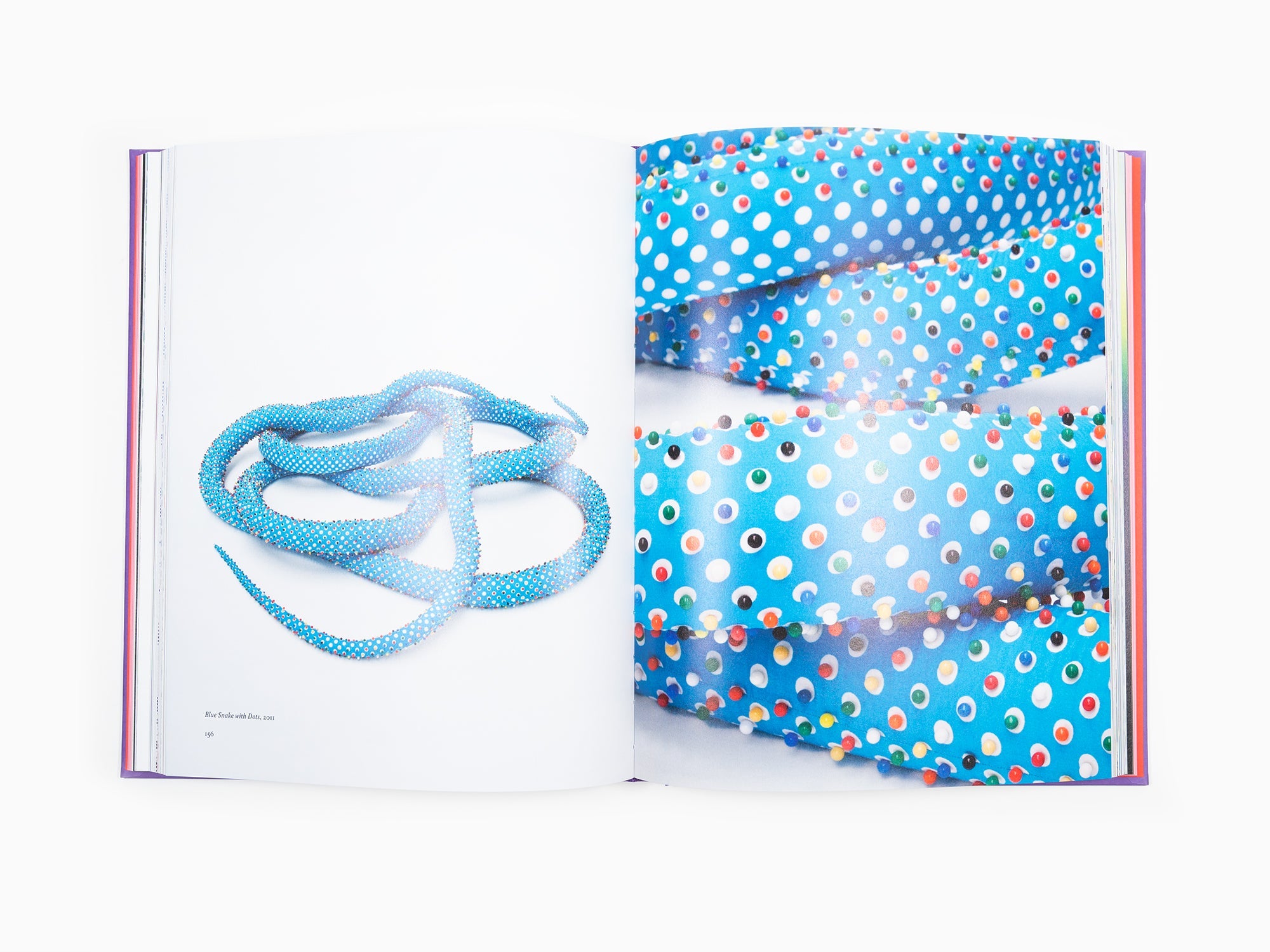 Lionel Estève - Lionel Estève monographie 2022 