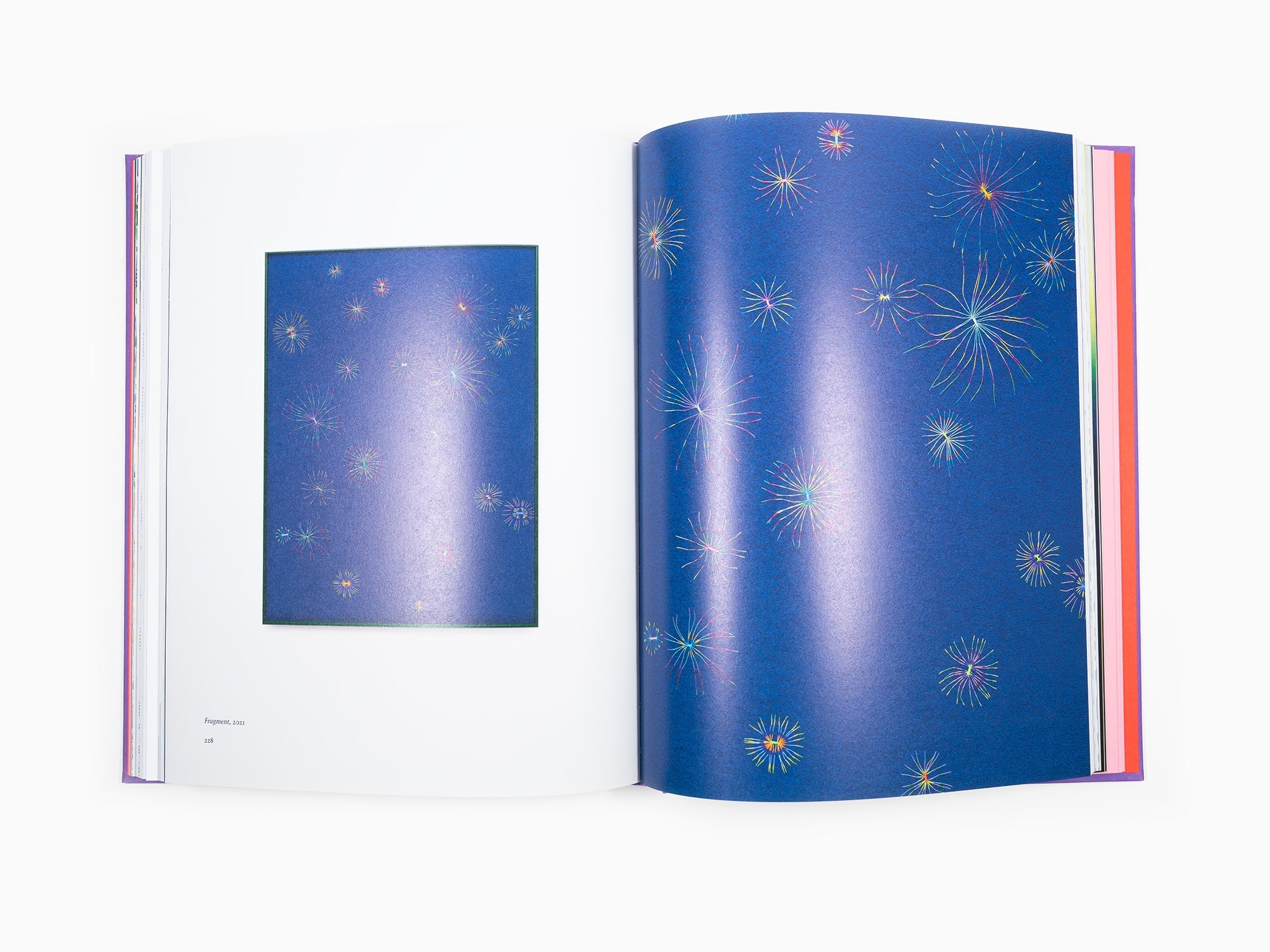 Lionel Estève - Lionel Estève monographie 2022 