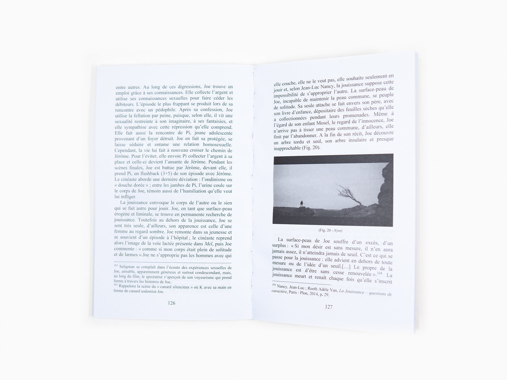 Natalia Laranjinha - Lars Von Trier. Pathos et surface