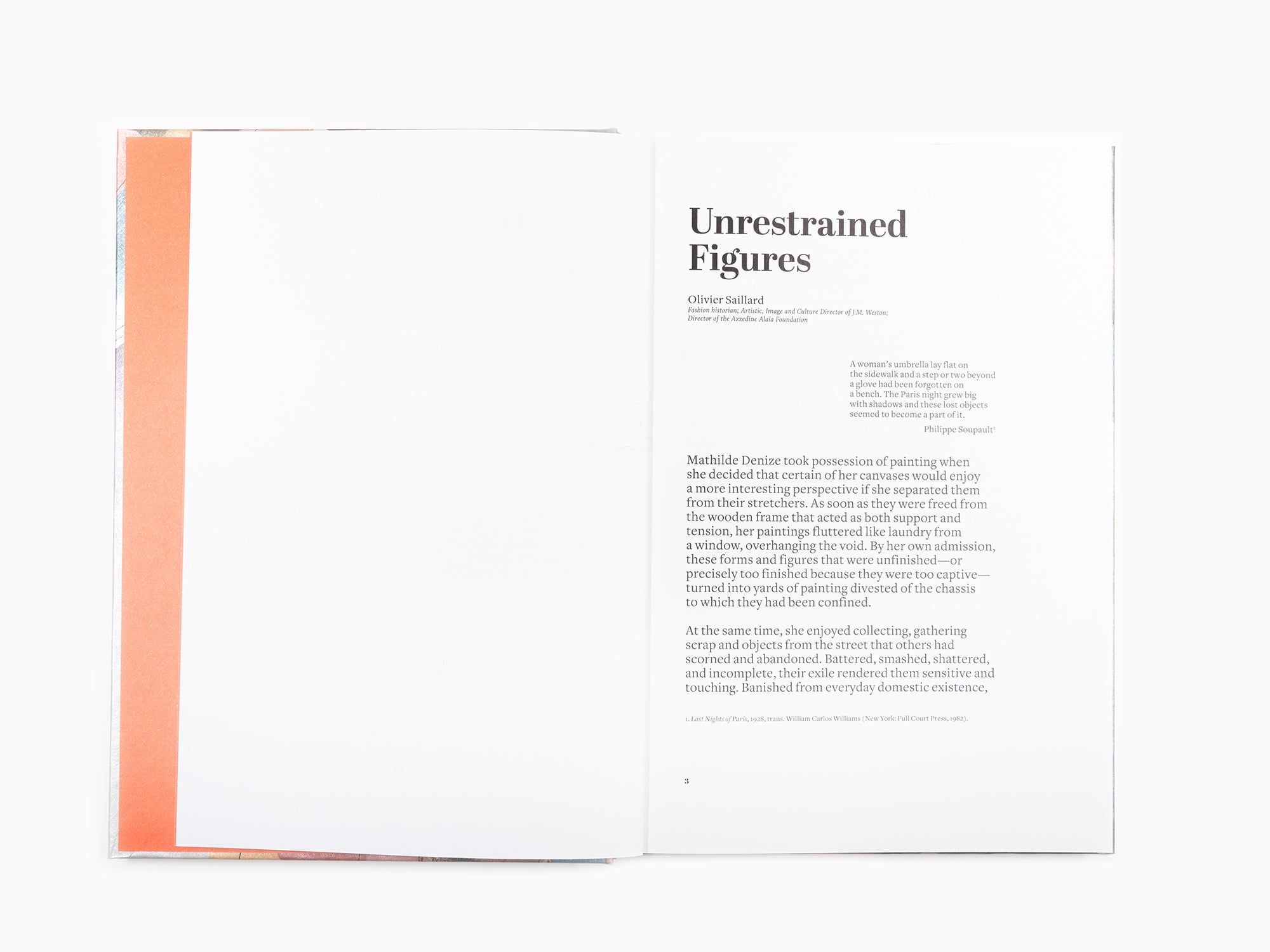 Mathilde Denize - Never Ending Story (monographie Perrotin)  