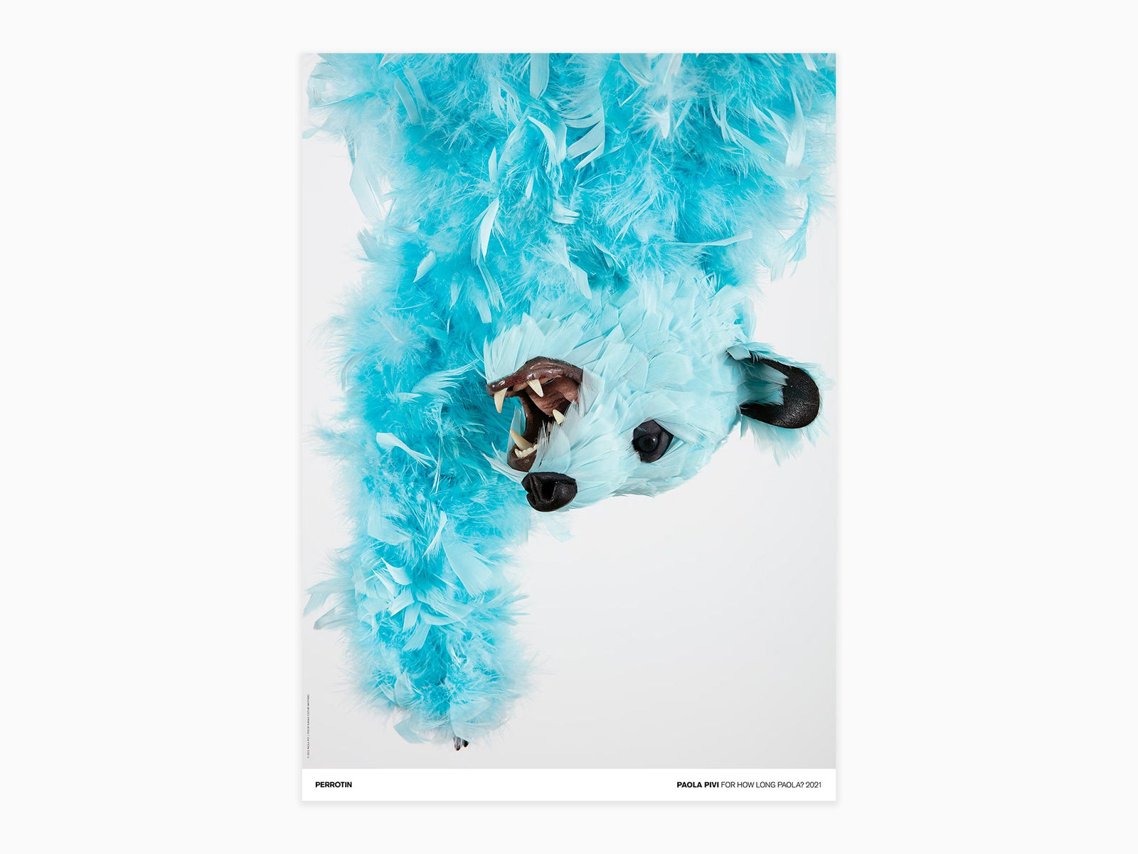 Paola Pivi - For How Long Paola ?, 2021 (signé poster)