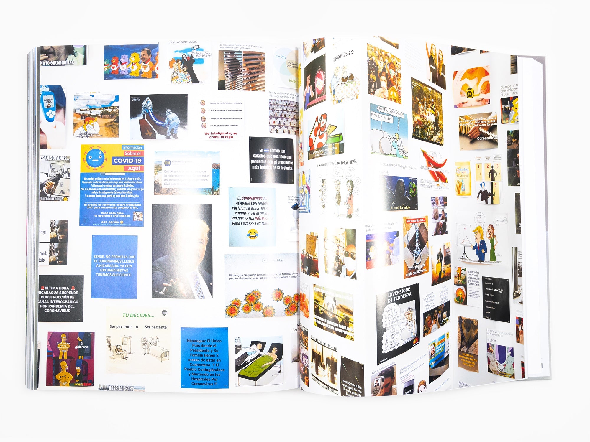 Paola Pivi - monographie (Phaidon)