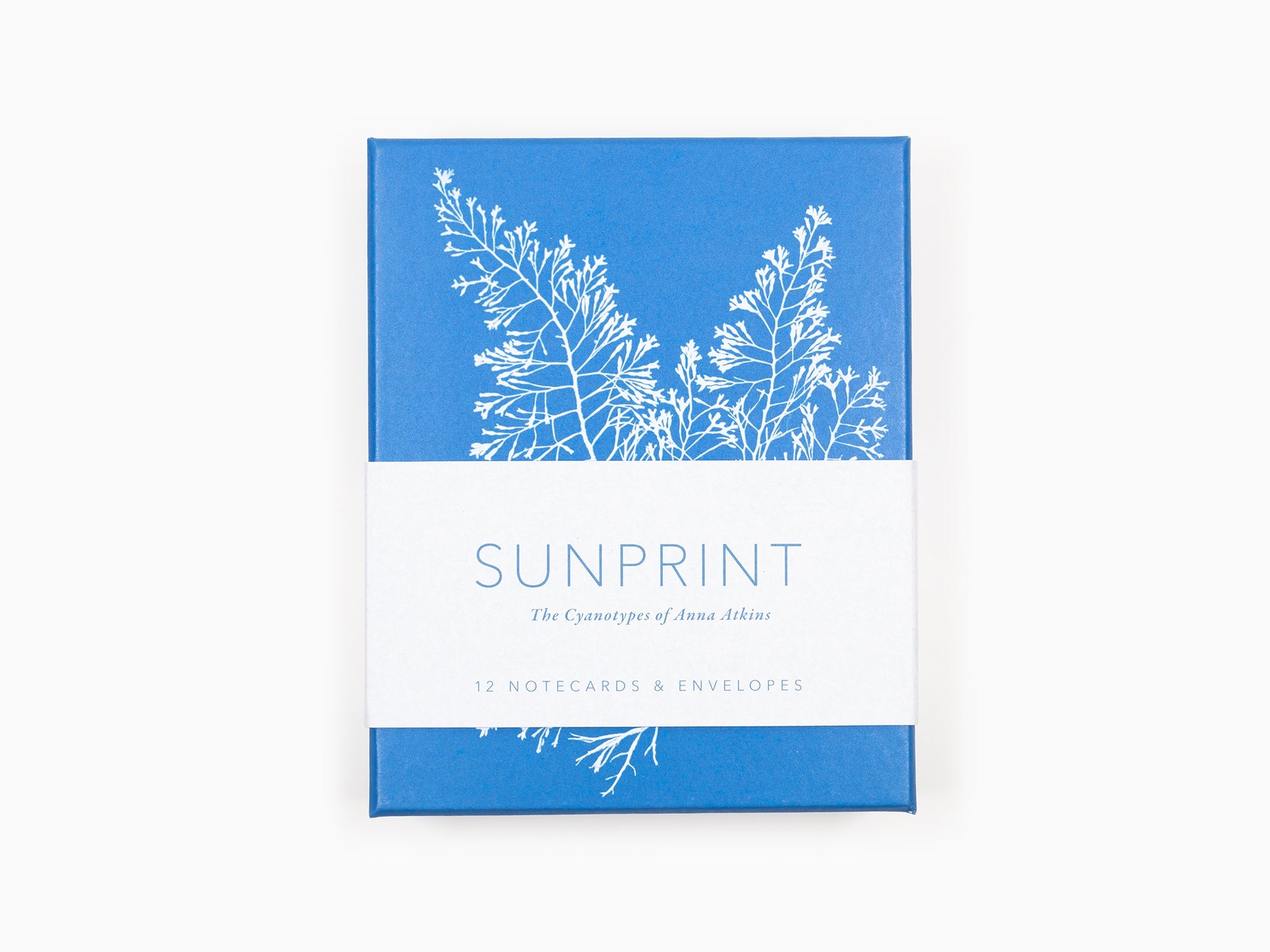 Anna Atkins - Cartes postales Sunprint, les cyanotypes de Anna Atkins
